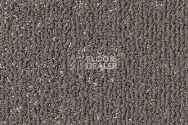 Ковровая плитка Milliken Fine Detail SCK144-173 Thimble фото 1 | FLOORDEALER
